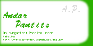 andor pantits business card